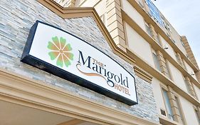 Marigold Hotel in Brampton